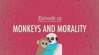 Monkeys and Morality Crash Course Psychology 19 [upl. by Vikky]