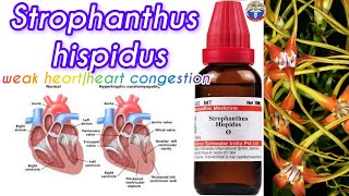 strophanthus homeopathic medicineStrophanthus hispiduskombe seed weak heartheart congestion [upl. by Santoro]