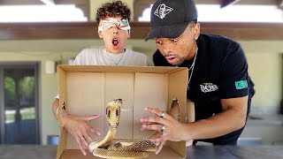 Crazy Whats in The Box Challenge [upl. by Elaval]