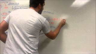 Easy Glycolysis Pathway [upl. by Fedirko]