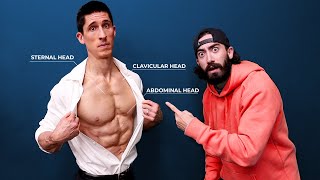 The ONLY 3 Chest Exercises You Need CHISELED PECS [upl. by Lapides]