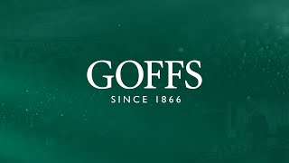 Goffs  Punchestown Sale 2024 [upl. by Dilks861]