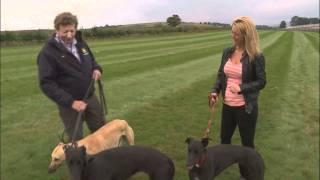 Mark Johnston training greyhounds [upl. by Enaud]