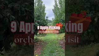 9 Apple Picking Orchards near Charlotte NC [upl. by Arua51]