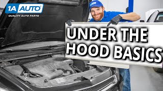 Under the Hood Basics Learn About the Stuff Under Your Cars Hood [upl. by Euqinimod490]