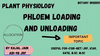 Plant PhysiologyPhloem Loading and Unloading Mechanism  Allocation of Resources CSIRNET JRF [upl. by Erual]