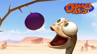 Will Oscar Get His Favourite Fruit  Oscars Oasis  Funny Cartoons for Kids [upl. by Folger]