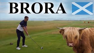 BRORA GOLF CLUB quotThe Jewel of Scotlandquot Episode 7 [upl. by Aleedis]