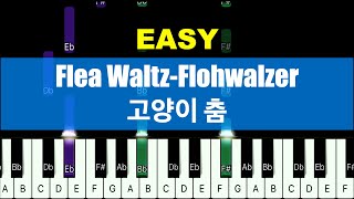 Flea Waltz  Flohwalzer Piano EASY 고양이 춤 피아노 초급 [upl. by Rebah]