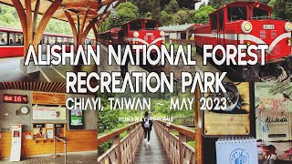 Alishan National Forest Recreation Park Chiayi Taiwan ❀☘ Quick Guide  Day Trip Vlog [upl. by Ree751]