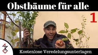 Veredelungsunterlagen  Obstbäume für alle Teil 1 [upl. by Boni]