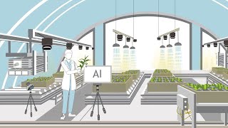 What is plant phenotyping [upl. by Aeriell]