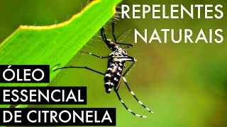 RECEITA DE REPELENTE NATURAL CIENTIFICAMENTE COMPROVADO  Óleo essencial de citronela  Xô Zika [upl. by Ahsemot]