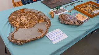 Lyme Regis Fossil Festival 2024 [upl. by Elwyn]