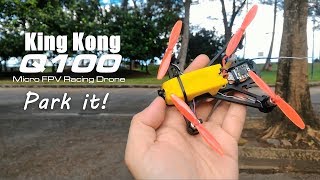 Park it  King Kong Q100 micro FPV racing drone [upl. by Yalc766]