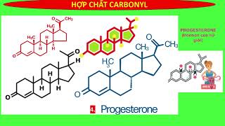 ALDEHYDE  KETONE  DANH PHÁP CÁC HỢP CHẤT TRONG SÁCH GIÁO KHOA CTSTKNTTCÁNH DIỀU  HÓA 11 MỚI [upl. by Schofield176]