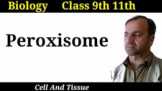 Peroxisome  Structure and functions of Peroxisome  Cell organelles  Class 9 and 11 [upl. by Rogers]