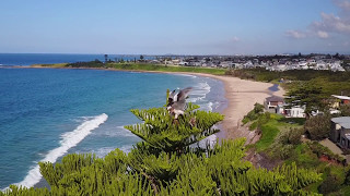 Bird of Prey duel or chick feed  at McCauleys Beach  DJI Mavic Pro [upl. by Atikahs]