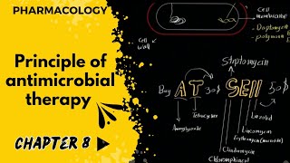 فارما  جابتر 8  شرح مهم متطور لفهم المضادات الحيوية  principle of antimicrobial therapy [upl. by Brunelle]