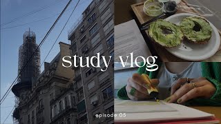 📁 study vlog  two weeks before exam waking up at 5am studying a specialty a day [upl. by Hamachi946]