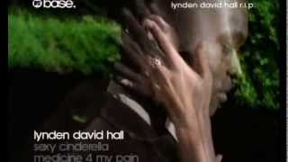 Lynden David Hall  Sexy Cinderella 1997  Official music video  videoclip [upl. by Gamber872]