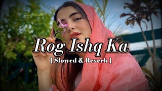 Rog ishq ka yaar kasuta  Slowed amp Reverb  Haryanvi Song  Raj Mawar  Ishq haryanvi song LoFi [upl. by Niuqaoj]