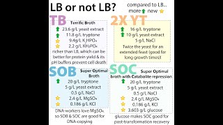 Bacterial growth media  LB TB SOB SOC [upl. by Irtak]