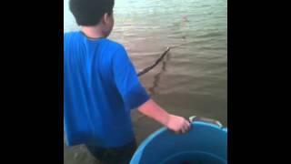 crawfishing with nets in southeast louisiana [upl. by Natanhoj68]