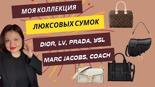 Моя коллекция люксовых сумок 2024  My handbag collection  Dior Prada LV Coach YSL [upl. by Innig]