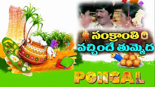 Sankranthi Vachinde Tummeda  Sankranti Special Song [upl. by Ahsia729]