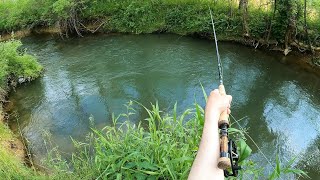 Im Back Euro Nymphing the Lights Out  Fly Fishing PA for Wild Brown Trout [upl. by Siramay]