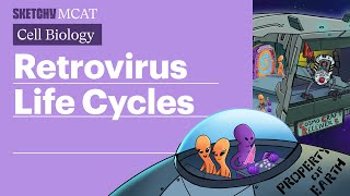 Retrovirus Life Cycles Understanding HIV Full Lesson  Sketchy MCAT [upl. by Thacher]