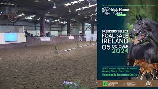 mayo roscommon breeders group Live Stream [upl. by Anele]