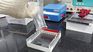 HTBM001 HiPer® Agarose Gel Electrophoresis Teaching Kit [upl. by Button]