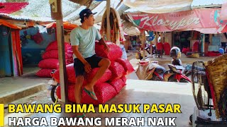 Harga Bawang Merah Hari Ini Naik Bawang Merah dari Bima Masuk Ke Pasar Sukomoro Nganjuk [upl. by Piper361]