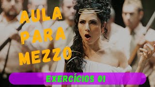 Aula para Mezzo  EXERCÍCIOS 01 [upl. by Nwahsyar80]