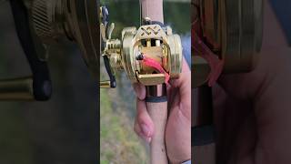 Ultimate Ultralight Baitcasting Reel with DC Braking fishing [upl. by Merrel]