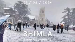 Shimla Snowfall Update Live from Shimla  Shimla snowfall  Snowfall Update [upl. by Nnyleuqcaj]