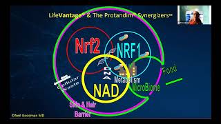 TriSynergizer Explained  Dr Neil Goodman amp Dr Brian Dixon [upl. by Nuhsed658]