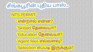 Singapore Nts permit details salaryEducation Agent fees Singapore new passNts permit tamil [upl. by Kalagher]