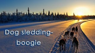 quotDog sleddingboogiequot a song by dtb [upl. by Oivatco]