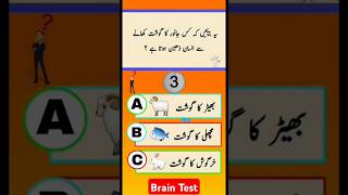 Quiz Questions Answers About Islam braintest BrainTestChallenge shorts QuizBrainTest9 short [upl. by Nobile983]