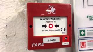 Alarme Incendie  TEST Declencheur Manuel Fare  Réarmement [upl. by Darcia796]