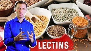 Reduce Lectins for Autoimmune Conditions – Immune System amp Foods High In Lectins – DrBerg [upl. by Romeon823]