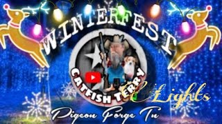 Winter Christmas Lights Trail  Pigeon Forge Tennesse FREE 2023 [upl. by Charmian]