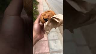 سعر Croissant في دزاير الجزائر شورتس [upl. by Eetsirk]