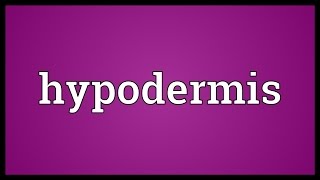 Hypodermis Meaning [upl. by Candyce]