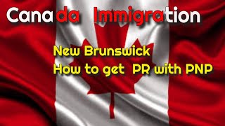 How to Get New Brunswick PNP  What jobs are in demand in New Brunswick [upl. by Lleryd356]