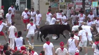 Fêtes de Bayonne 2024Courses de Vaches 2 [upl. by Owiat778]