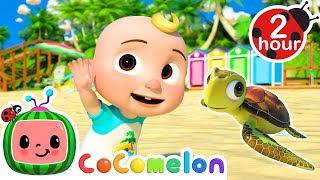 Lets Learn Sea Animals  Cocomelon  Moonbug Kids  Fun Zone [upl. by Alys]